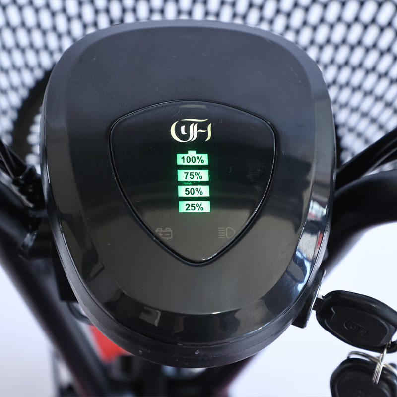 NEW Adult Tricycle Travel Pare - огляд і ціна Folding Electric Scooter